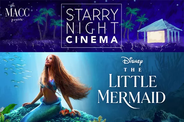 STARRY NIGHT CINEMA: LITTLE MERMAID