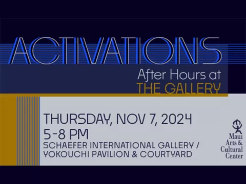 ACTIVATIONS: After Hours at the Gallery - Paths of Ink